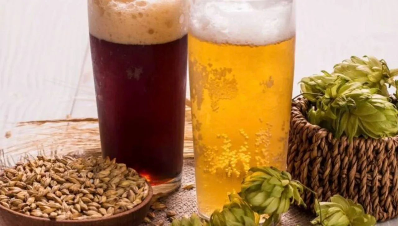 degustazione-birra