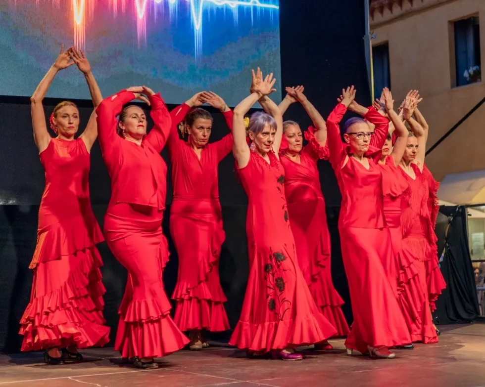 Silicon Kafe Thiene corsi di Flamenco