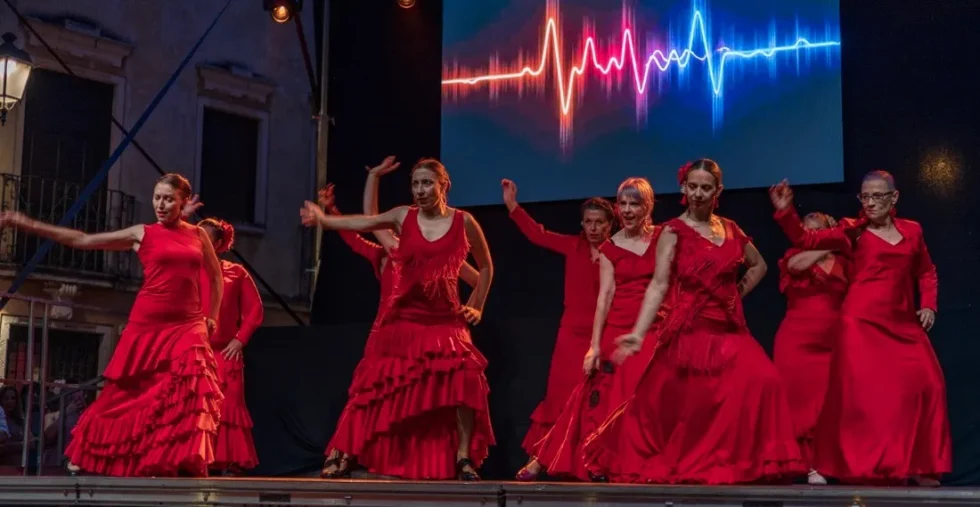 Silicon Kafe Thiene corsi di Flamenco